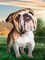 Dreaming Dog CS2537 11.8 x 15.7 inches Crafting Spark Diamond Painting Kit